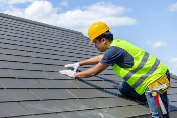Roof Gutter Cleaning in Hollywood Park, TX