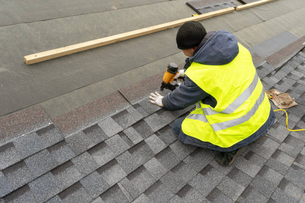 Best Roof Maintenance Services  in Hollywood Park, TX