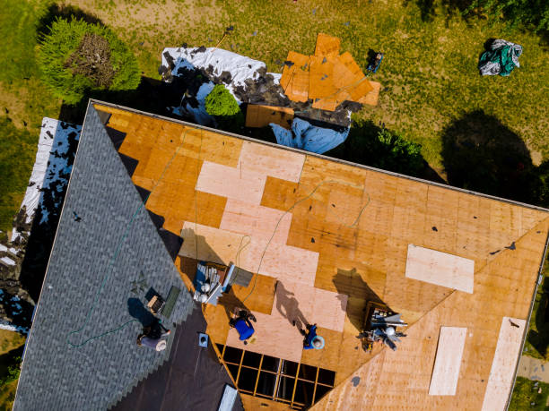 Best Shingle Roofing Installation  in Hollywood Park, TX