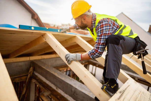 Best Local Roofing Companies  in Hollywood Park, TX