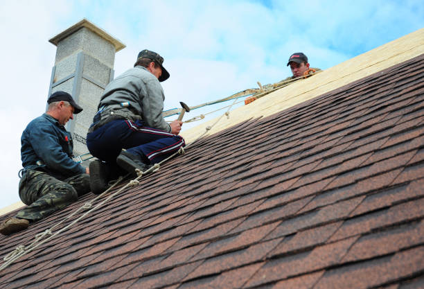 Best Roof Repair Services  in Hollywood Park, TX